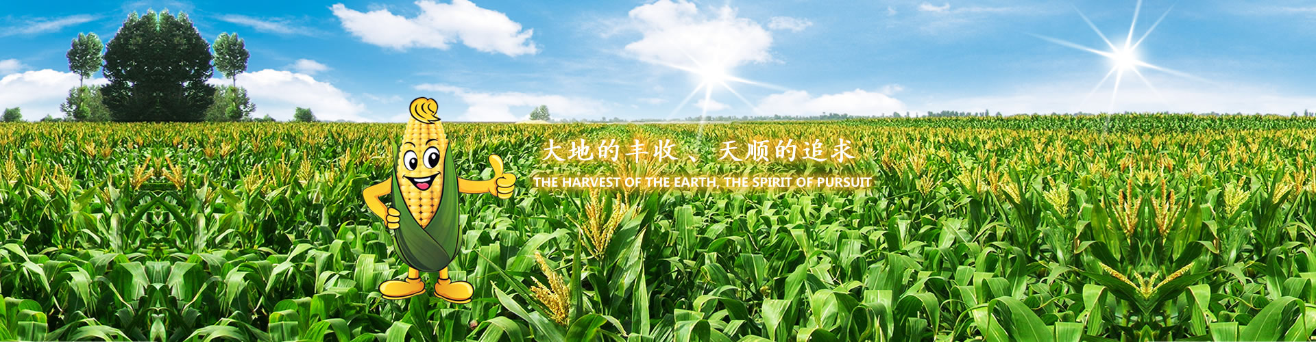 吉林玉米種子