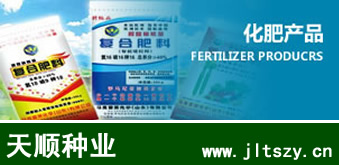 吉林玉米種子